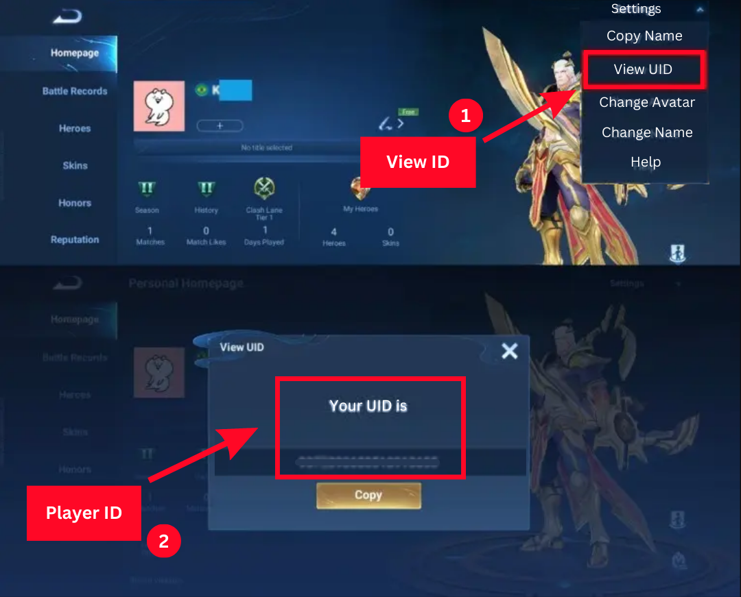 Honor of Kings Instructions